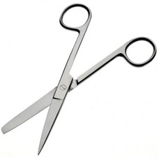 Scissors 12.5cm Sharp/Blunt Ward Quality